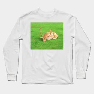 Sleeping Fallow Deer Long Sleeve T-Shirt